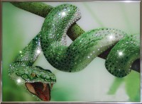 Картина Swarovski "Зеленый Змей"
