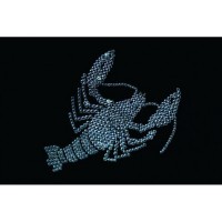 Картина Сваровски "Рак", 20 х 30 см