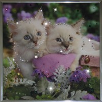 Картина Swarovski "Котята"