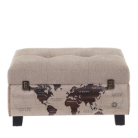  "The World" 
