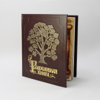 Альбом родословная книга "Изысканная"  обложка из экокожи с золочением 24.5x31.5x5 см  (PM-004-ЭК)