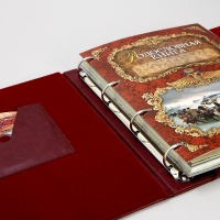 Альбом-книга Родословная "Художественная" в светлой обложке 24.5x31.5x5 см  (PM-007-C)