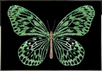 Картина с кристаллами "Зеленая бабочка" (Swarovski)