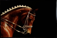 ������� � ����������� "����" (Swarovski)