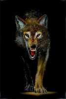 Картина Сваровски "Ночной волк", 40 х 60 см