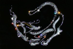  Swarovski 