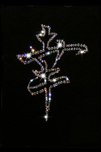 Swarovski 